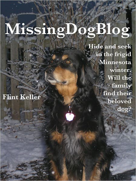 Missing Dog Blog