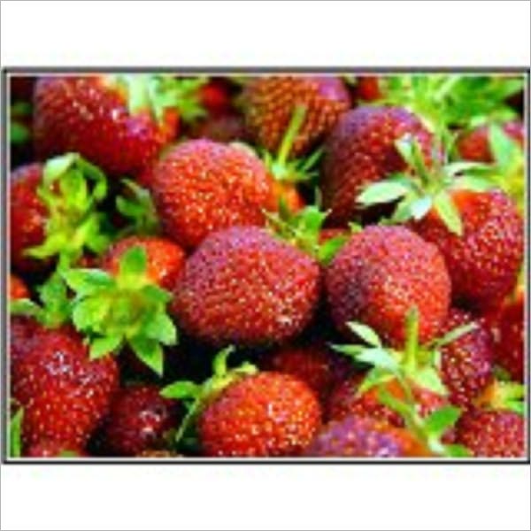 Super Food Health - Eating for Better Health