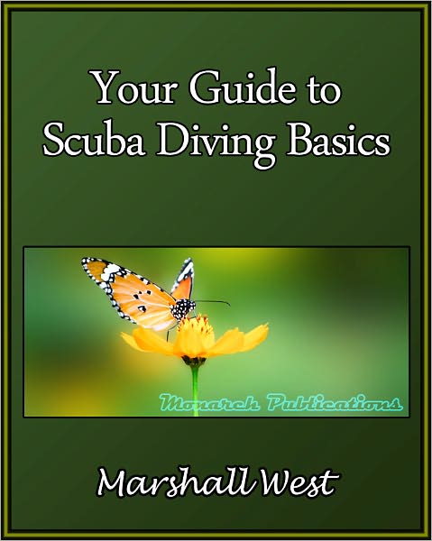 Your Guide to Scuba Diving Basics