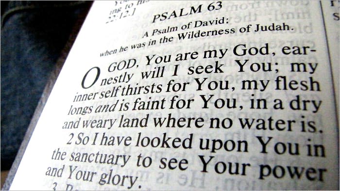 The New Testament & Psalms and Proverb