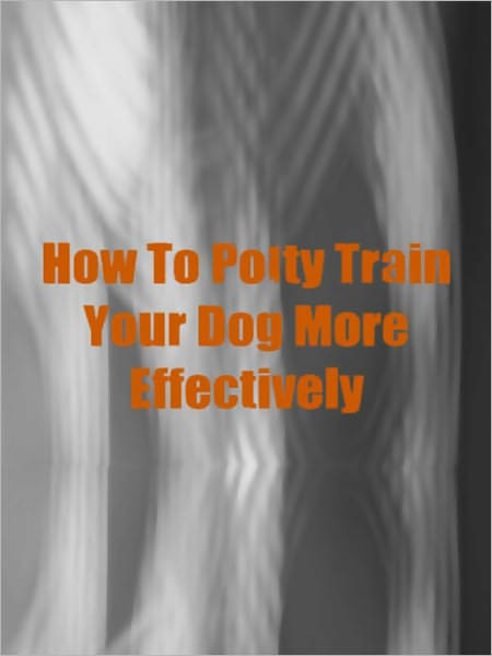 How To Potty Train Your Dog More Effectively