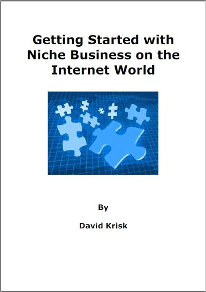 Getting Started with Niche Business on the Internet World