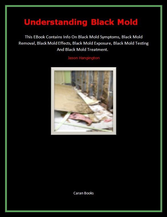 Understanding Black Mold