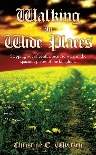 Walking In Wide Places