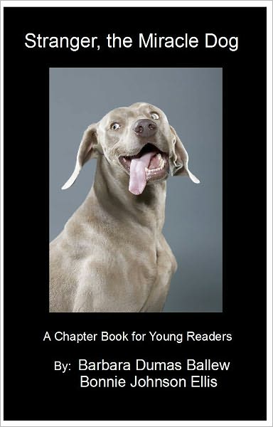 Stranger, the Miracle Dog