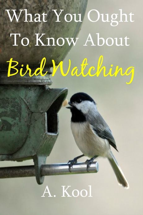 What You Ought To Know About Bird Watching