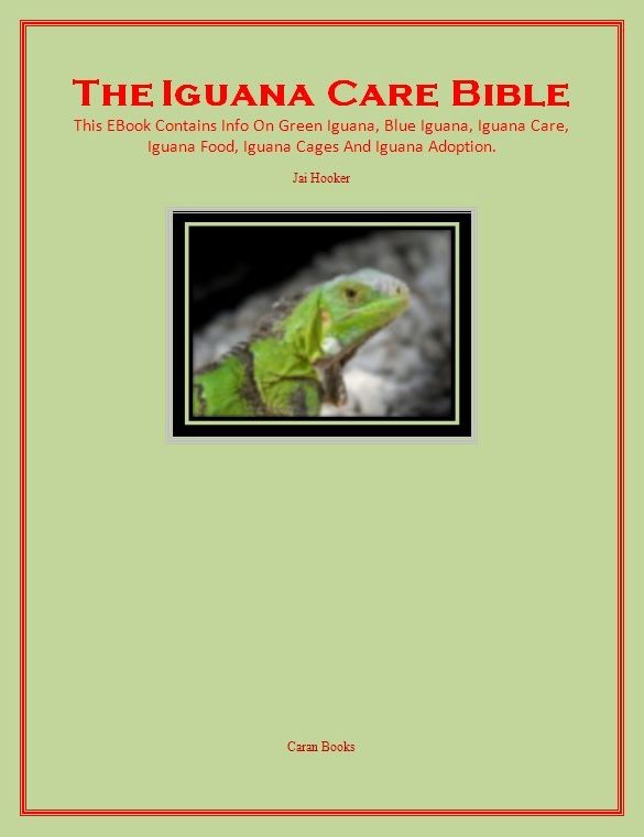 The Iguana Care Bible