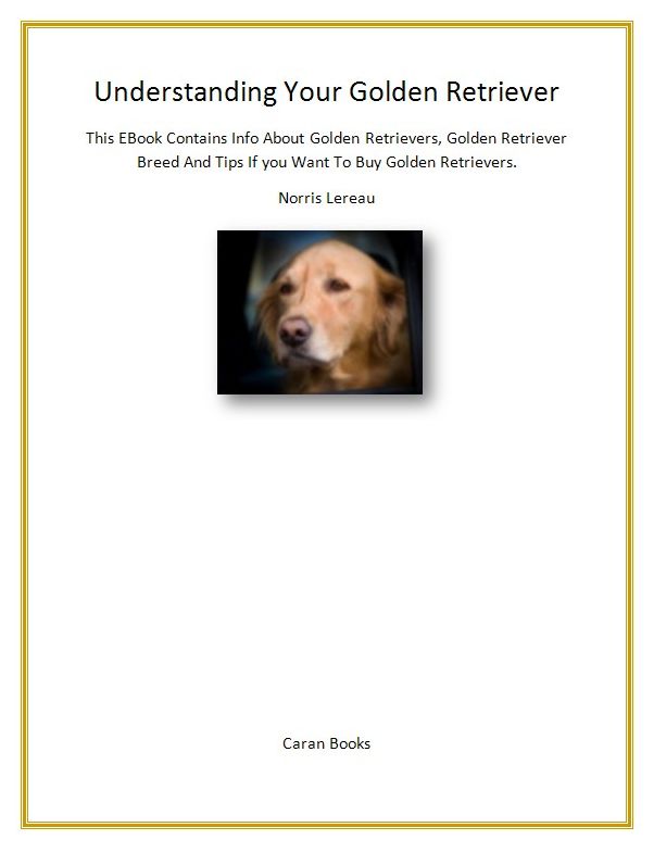 Understanding Your Golden Retriever