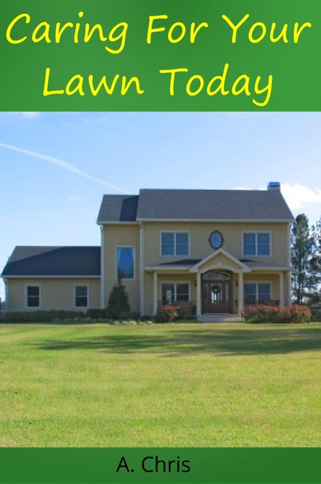 Caring for Your Lawn Today