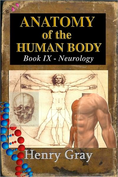 Anatomy of the Human Body - Book IX Neurology