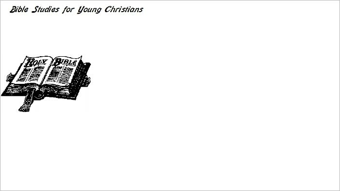 Bible Studies for Young Christians