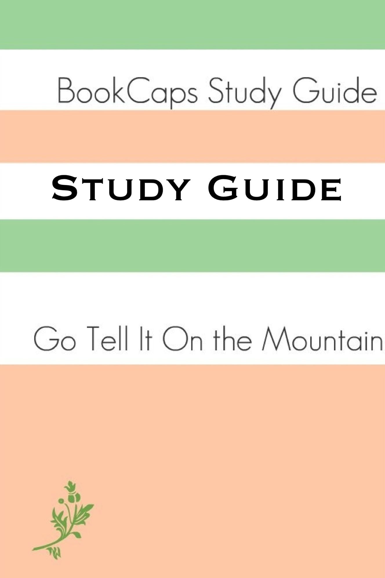 Go Tell It On the Mountain (A BookCaps Study Guide)