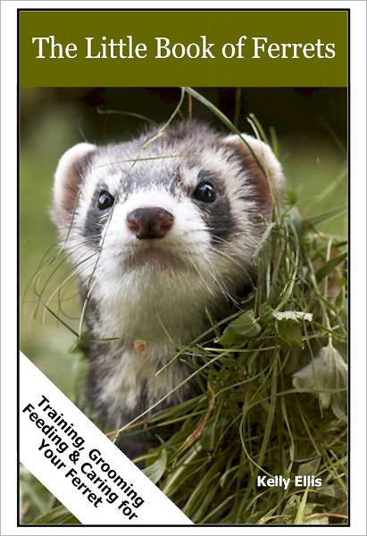 Ferrets (Training, Grooming, Feeding & Caring for Your Ferret)