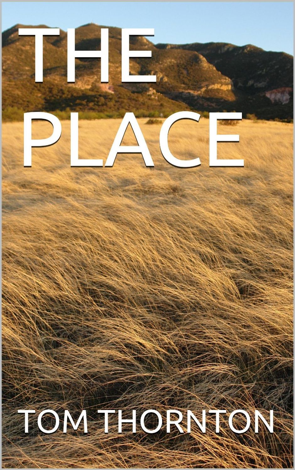 THE PLACE