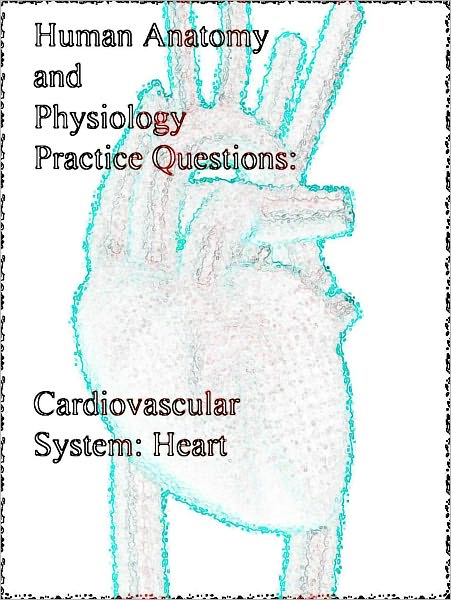 Human Anatomy and Physiology Practice Questions: Cardiovascular System: Heart
