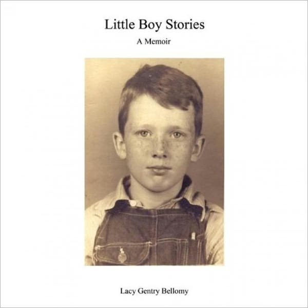 Little Boy Stories