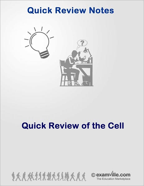 Quick Review of the Cell