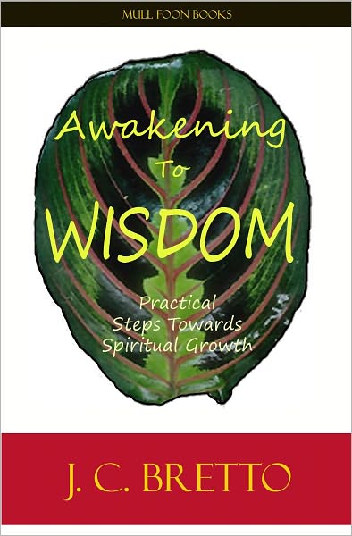 Awakening To Wisdom: Practical Steps Towards Spiritual Growth
