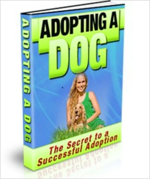 How To Adopt the Dog of Your Dreams