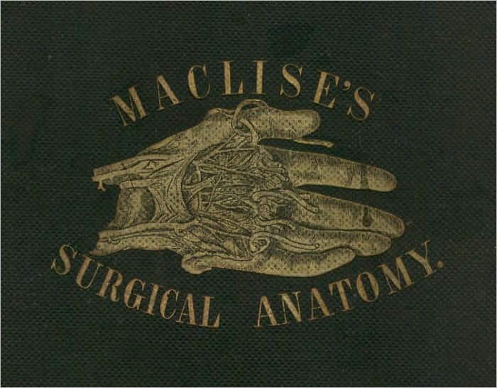 Surgical Anatomy
