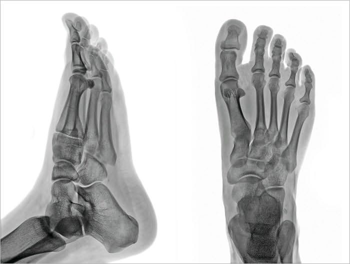 Podiatry Office Start Up Sample Business Plan!