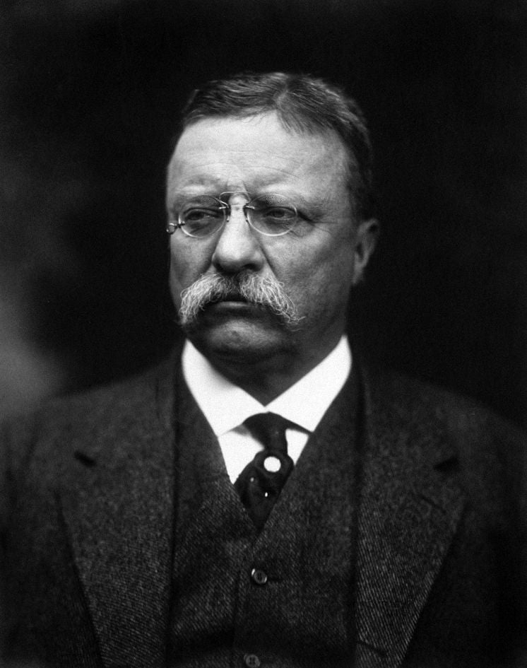 The Autobiography of Theodore Roosevelt