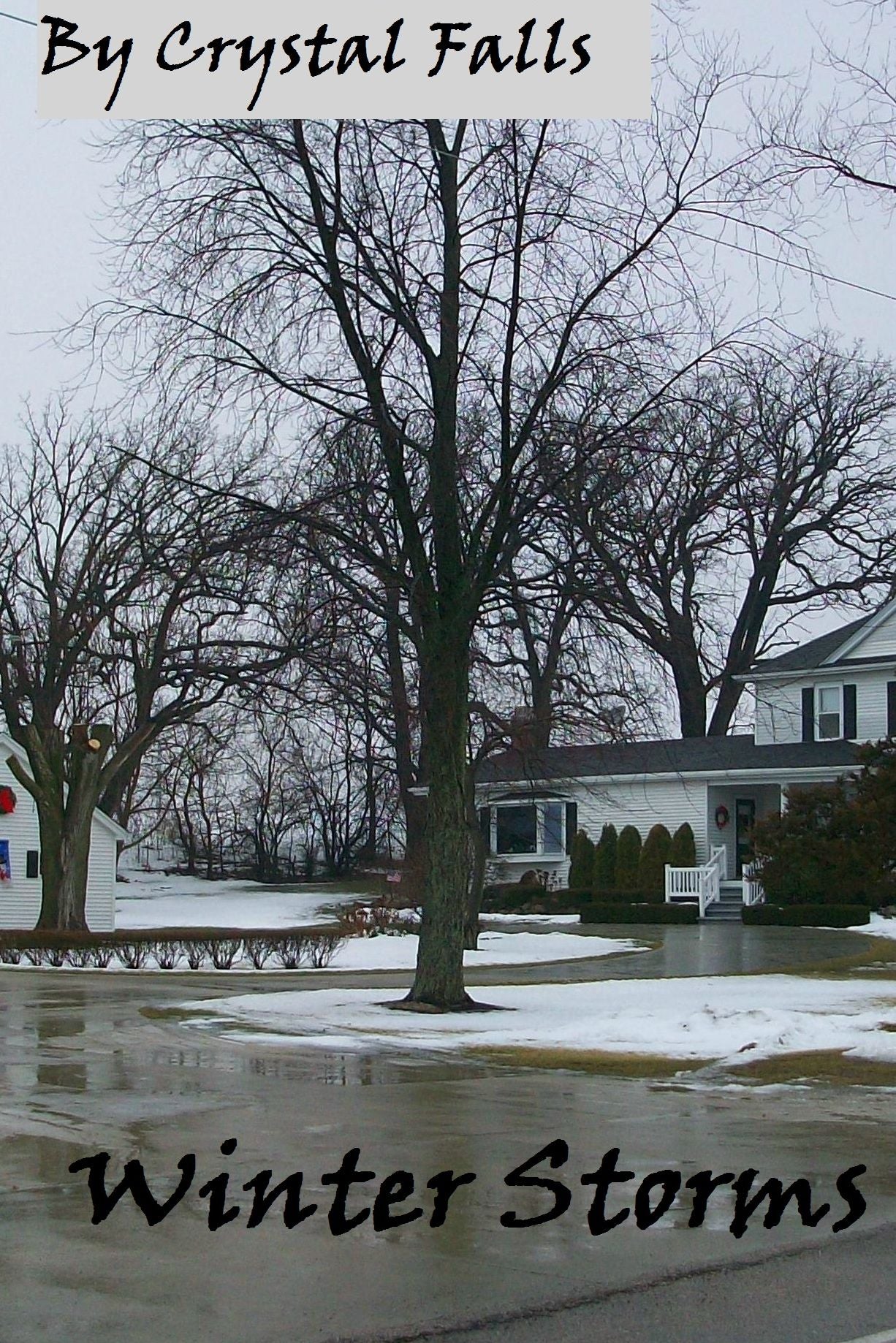 Winter Storms