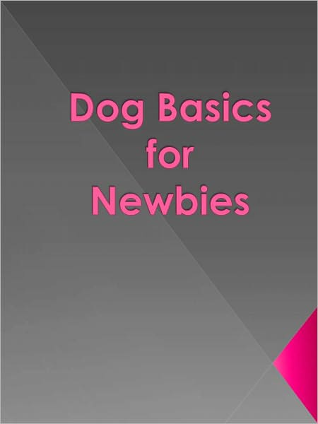 Dog Basics for Newbies