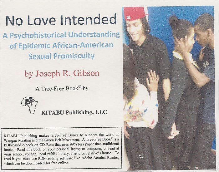 No Love Intended: A Psychohistorical Understanding of Epidemic African-American Sexual Promiscuity