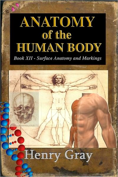 Anatomy of the Human Body - Book XII Surface Anatomy and Surface Markings