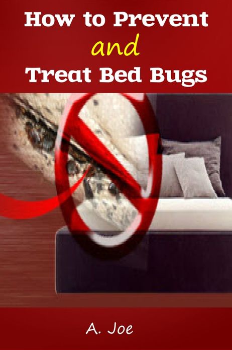 How to Prevent and Treat Bed Bugs