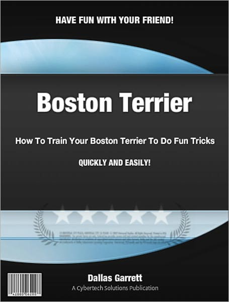How To Train Your Boston Terrier To Do Fun Tricks