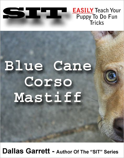 How To Train Your Blue Cane Corso Mastiff To Do Fun Tricks