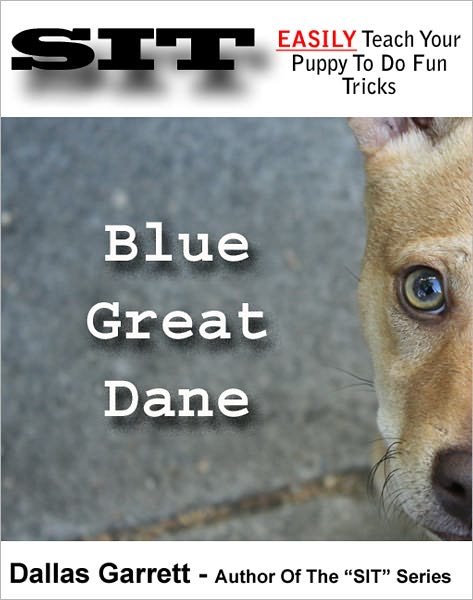 How To Train Your Blue Great Dane To Do Fun Tricks