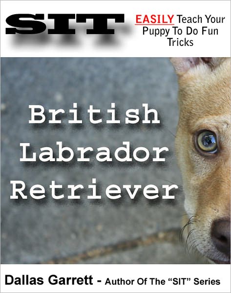 How To Train Your British Labrador Retriever To Do Fun Tricks