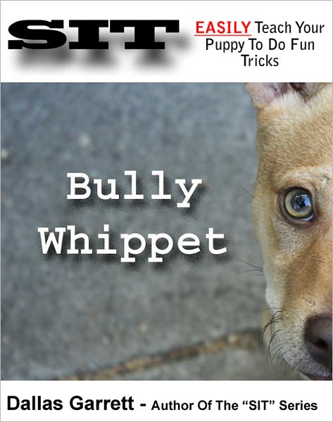 How To Train Your Bully Whippet To Do Fun Tricks