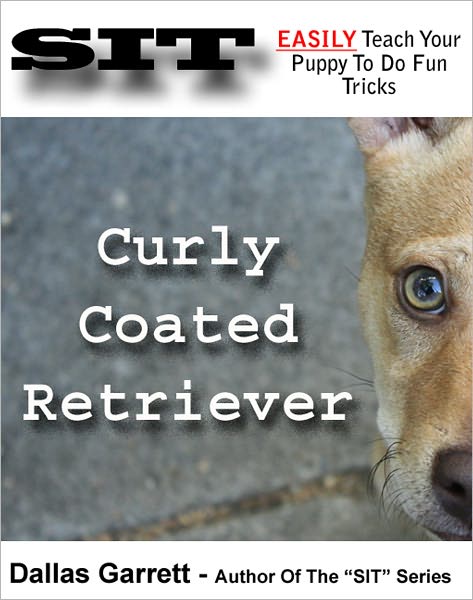How To Train Your Curly Coated Retriever To Do Fun Tricks