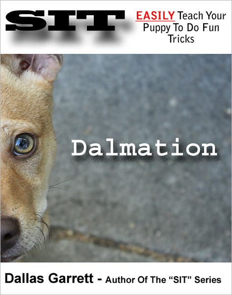 How To Train Your Dalmation To Do Fun Tricks
