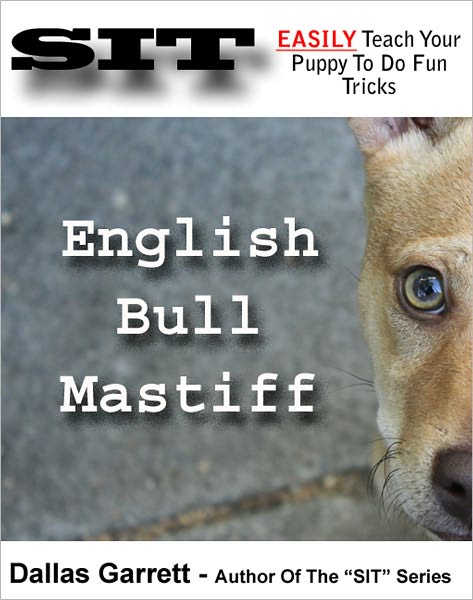 How To Train Your English Bull Mastiff To Do Fun Tricks