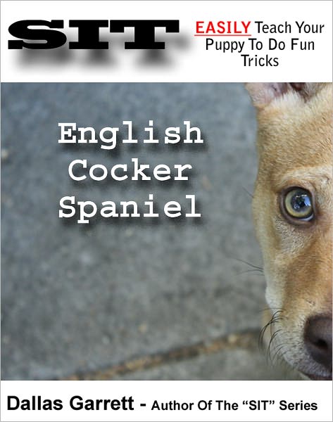 How To Train Your English Cocker Spaniel To Do Fun Tricks