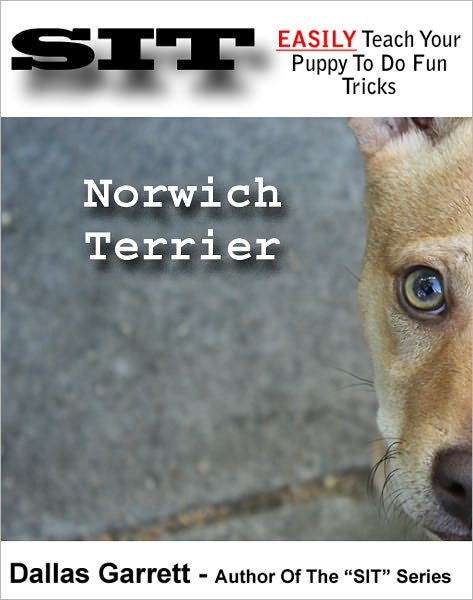 How To Train Your Norwich Terrier To Do Fun Tricks