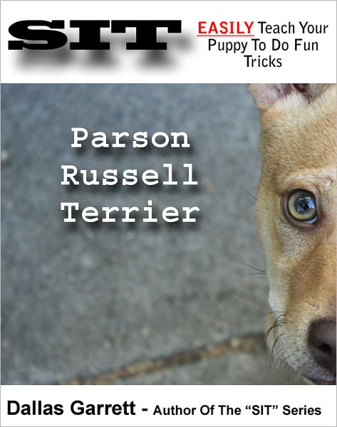 How To Train Your Parson Russell Terrier To Do Fun Tricks
