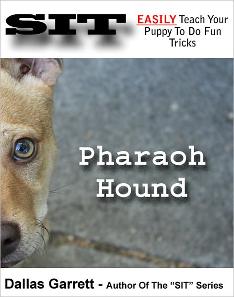 How To Train Your Pharaoh Hound To Do Fun Tricks