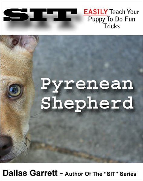 How To Train Your Pyrenean Shepherd To Do Fun Tricks