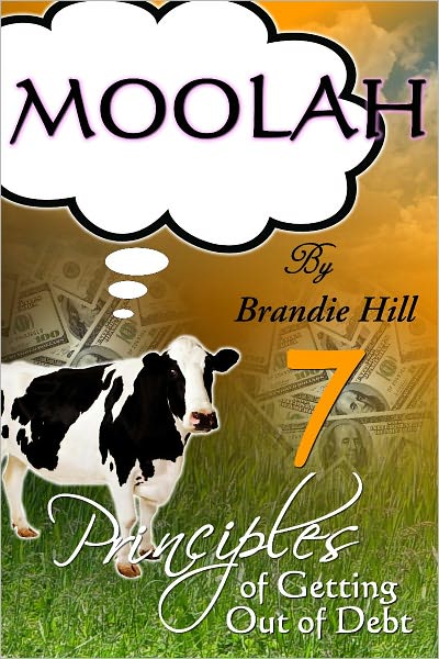 Moolah: 7 Principles of Getting Out of Debt