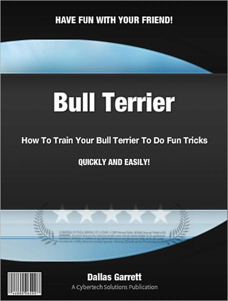 How To Train Your Bull Terrier To Do Fun Tricks