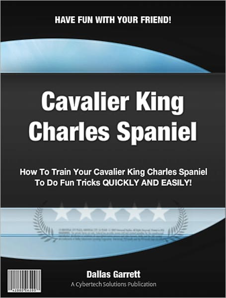 How To Train Your Cavalier King Charles Spaniel To Do Fun Tricks