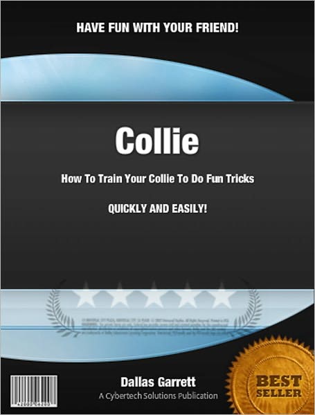 How To Train Your Collie To Do Fun Tricks