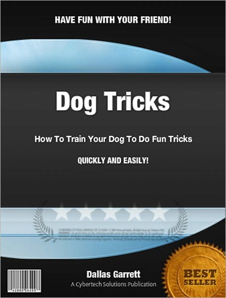 How To Train Your Dog To Do Fun Tricks