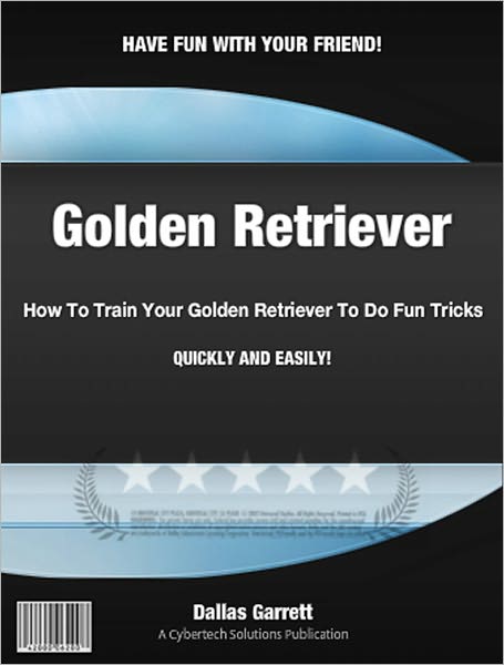 How To Train Your Golden Retriever To Do Fun Tricks